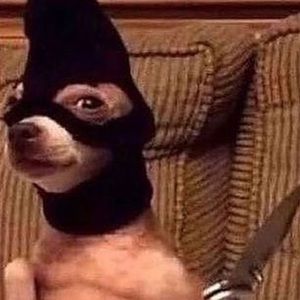 Meet your Posher, Kylee